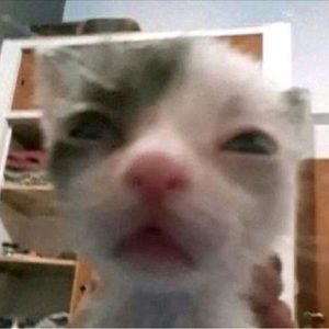 Meet your Posher, Rubi